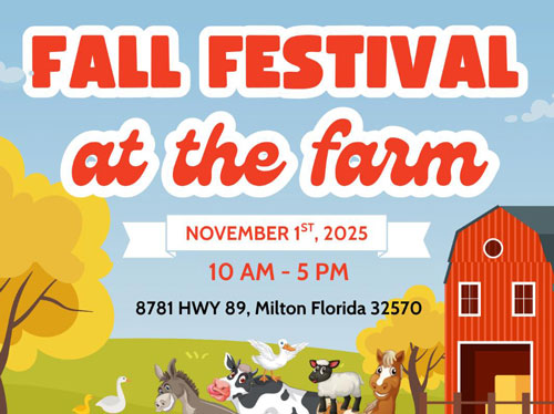 fall-festival-feature