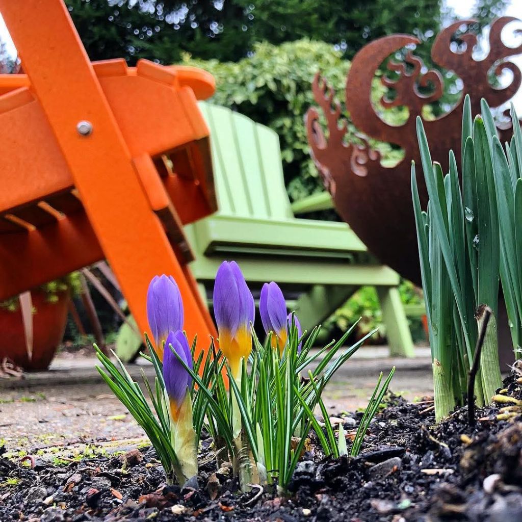 fishingham garden 2019