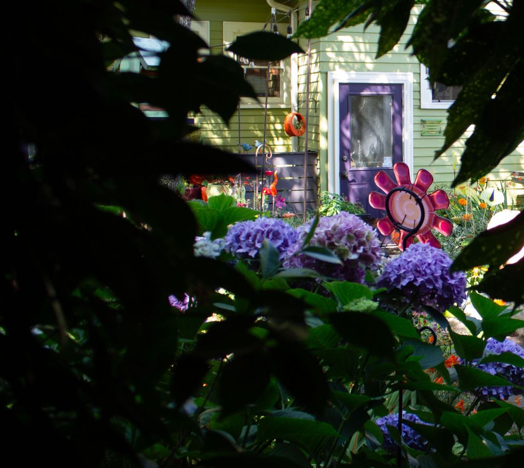 jeffys garden photo shoot by kelly parke