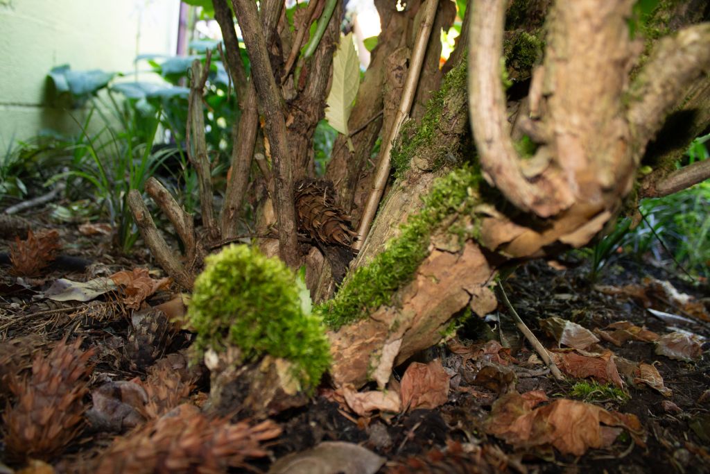 jeffys garden photo shoot by kelly parke