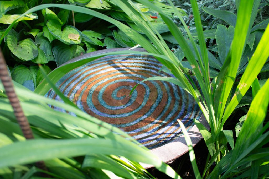 jeffys garden photo shoot by kelly parke